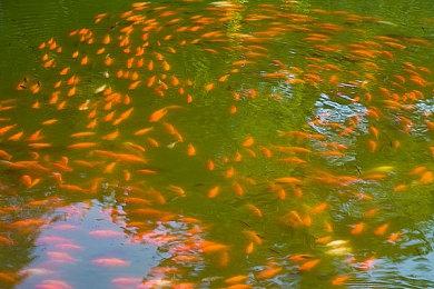 《家园3》Steam现已开启预购 国区标准版219元