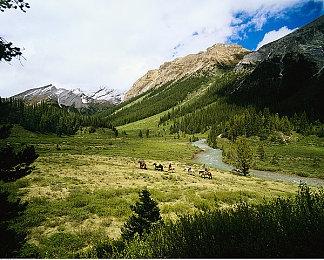 《生化危机9》进化揭秘：真实演出、双重视角与浣熊市的重生