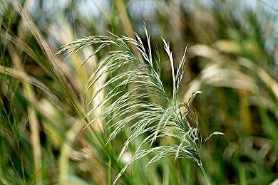 E3 2021：《高级战争1+2 RE-BOOT CAMP》公布